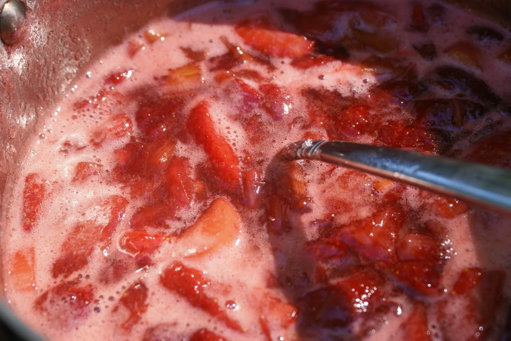 How to Cut and Prepare Rhubarb for Cooking and Freezing on $5 Dinners