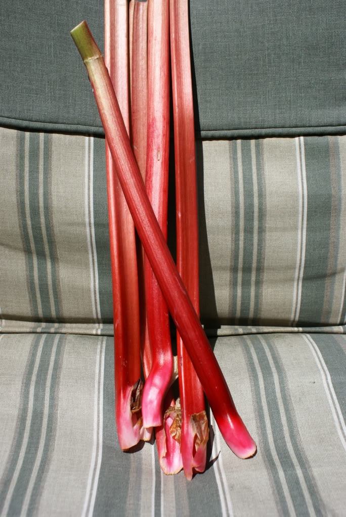 How to Cut and Prepare Rhubarb for Cooking and Freezing on $5 Dinners