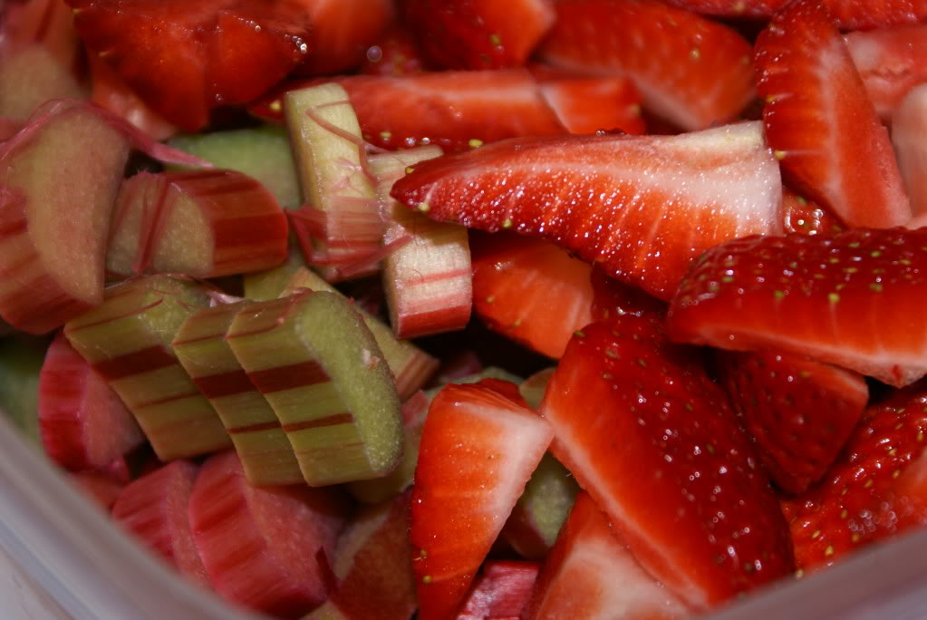 How to Cut and Prepare Rhubarb for Cooking and Freezing on $5 Dinners