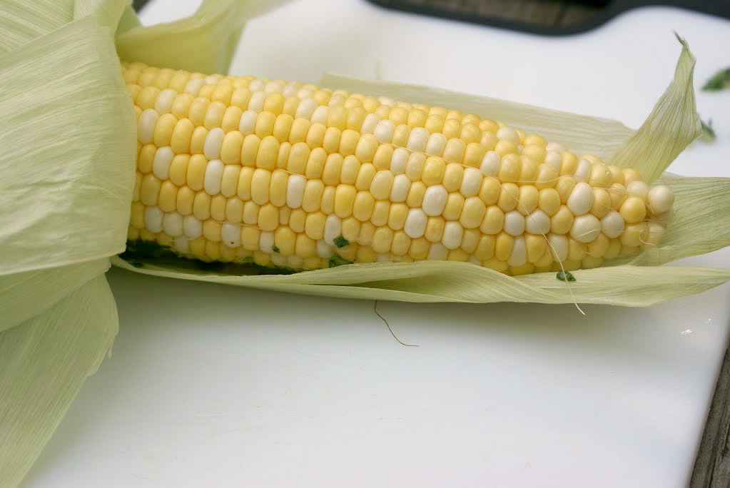 How to Grill Corn on the Cob from 5DollarDinners.com