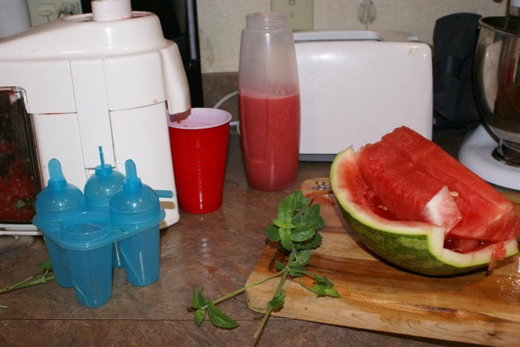 Watermelon Juice | 5DollarDinners.com