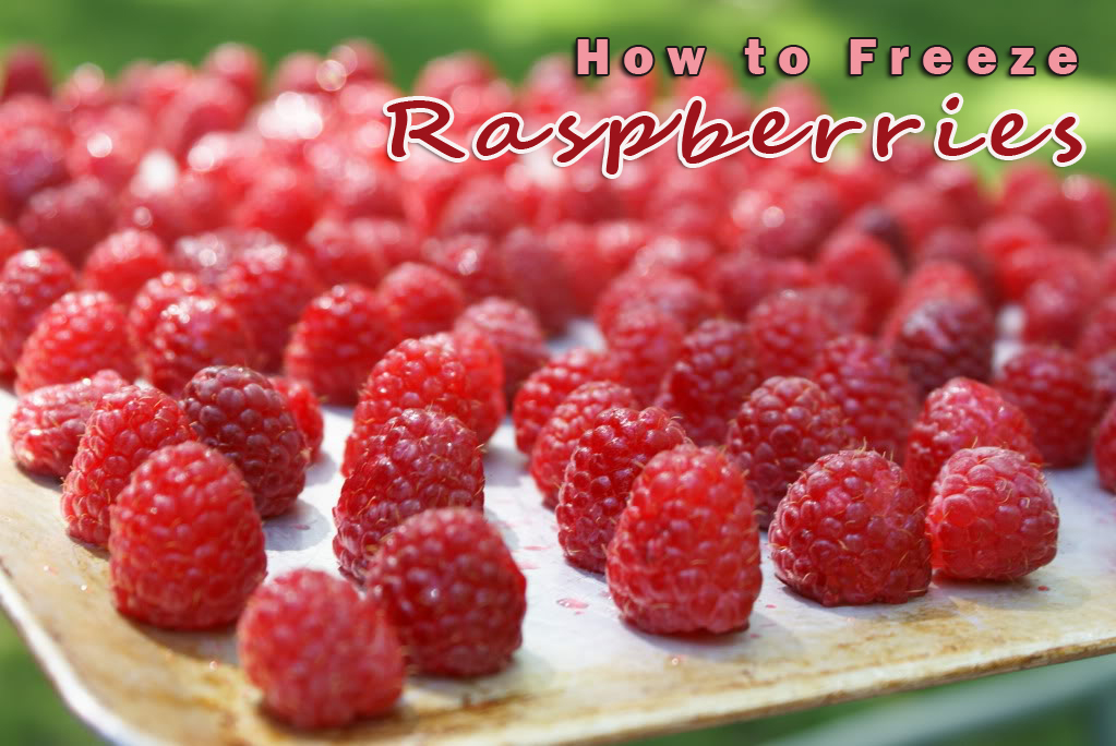 how-to-freeze-raspberries