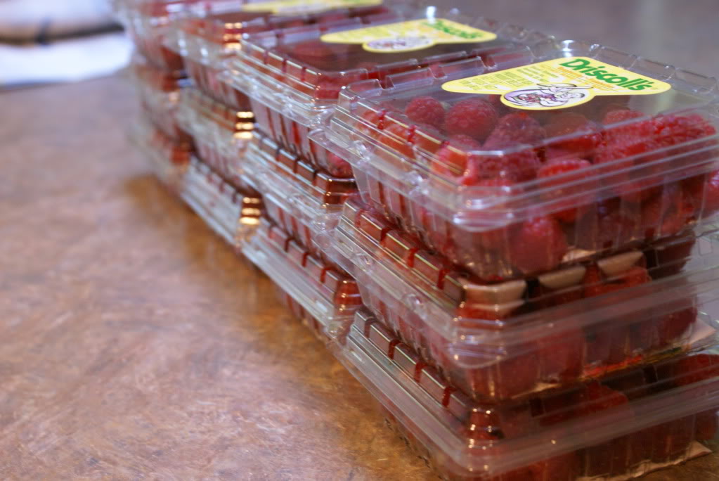 How to Freeze Raspberries on $5 Dinners