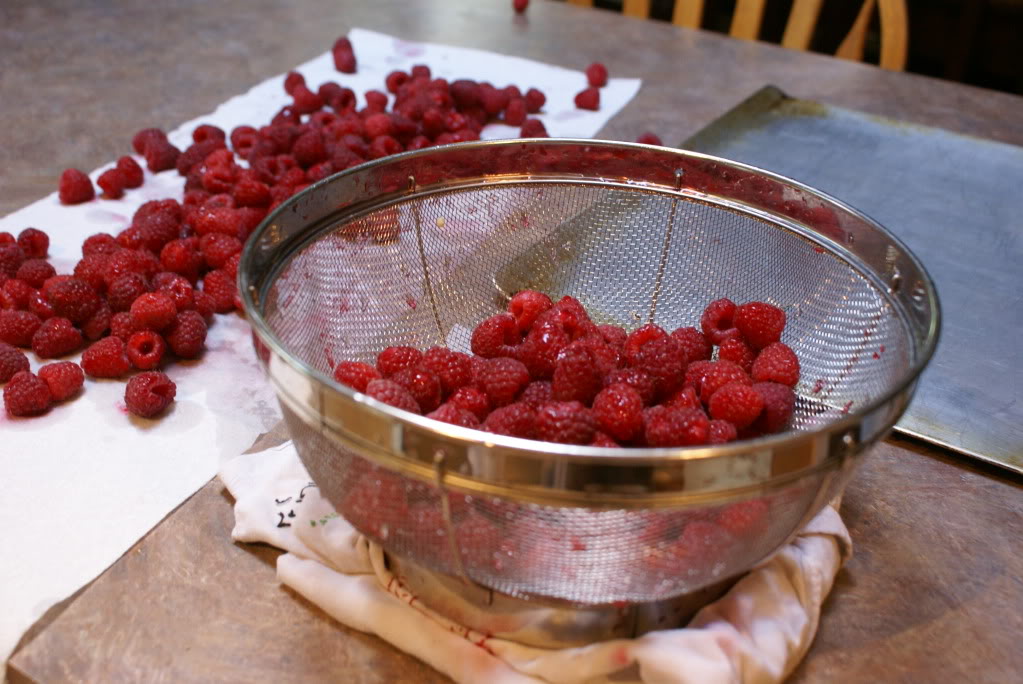 How to Freeze Raspberries on $5 Dinners
