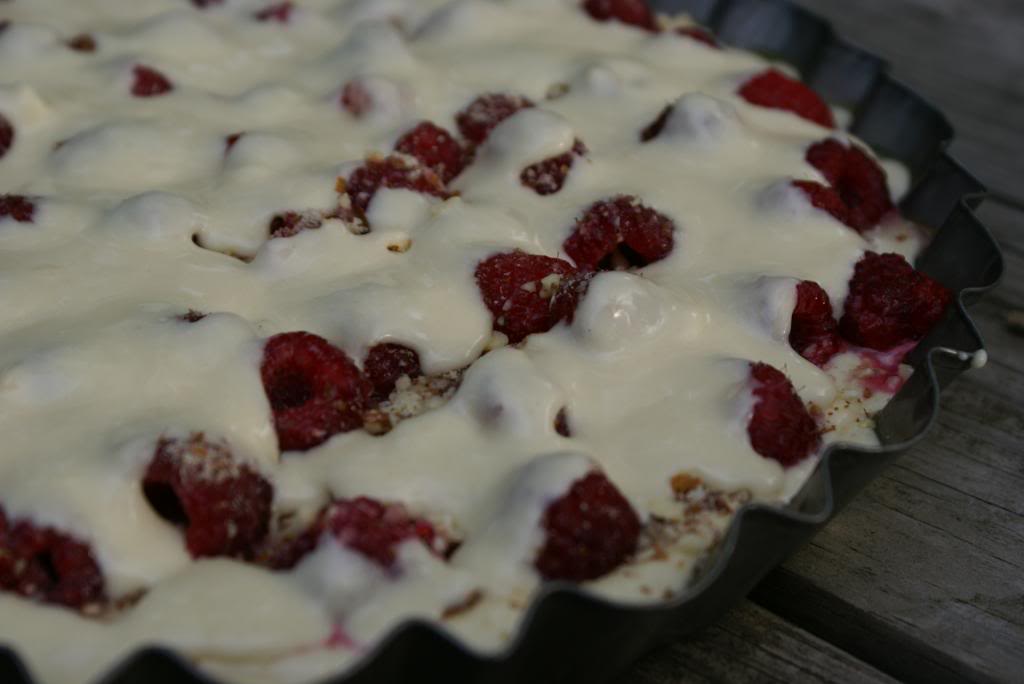 Raspberry Coffee Cake2