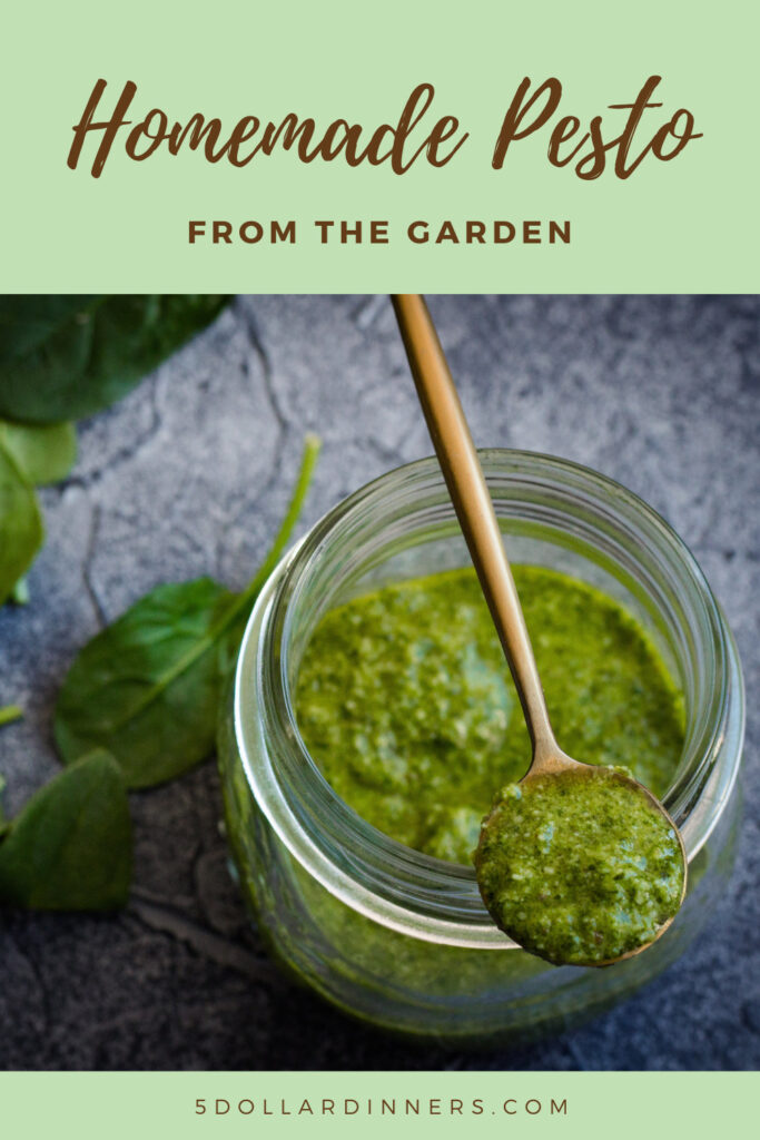 Homemade Pesto from the Garden on $5 Dinners