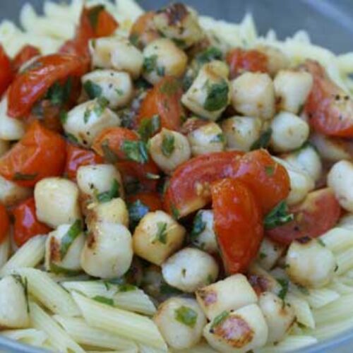 Scallops with Herbed Tomato Sauce 5 Dinners Recipes & Meal Plans