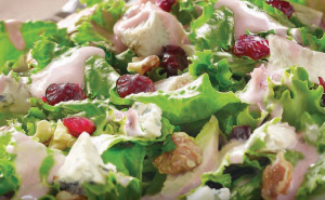 turkey cranberry salad