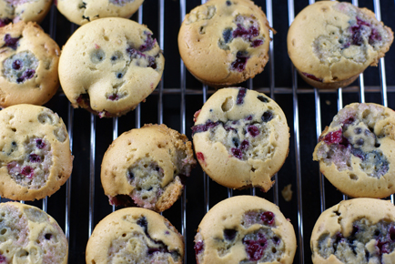 blackberry mini muffins