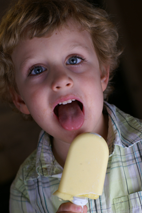 Homemade Popsicles Dairy Free