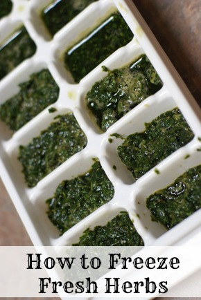 How to Freeze Fresh Herbs on $5 Dinners