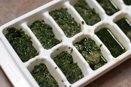 How to Freeze Fresh Herbs on $5 Dinners