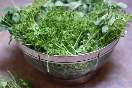 How to Freeze Fresh Herbs on $5 Dinners