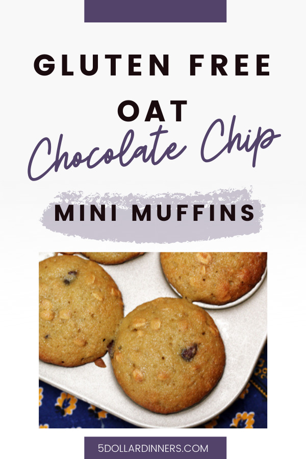 gluten free oat chocolate chip mini muffins