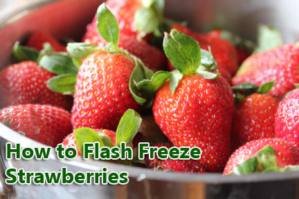 how-to-flash-freeze-strawberries