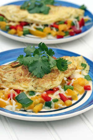 spicy mexican omelet