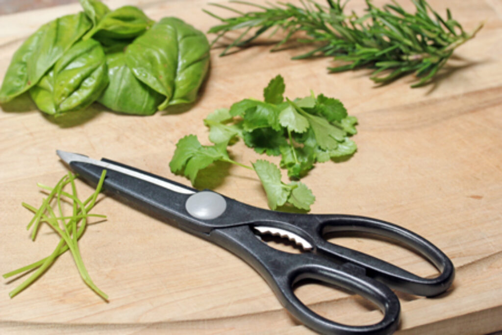 Using Your Kitchen Shears 5 Dinners Budget Recipes, Meal Plans