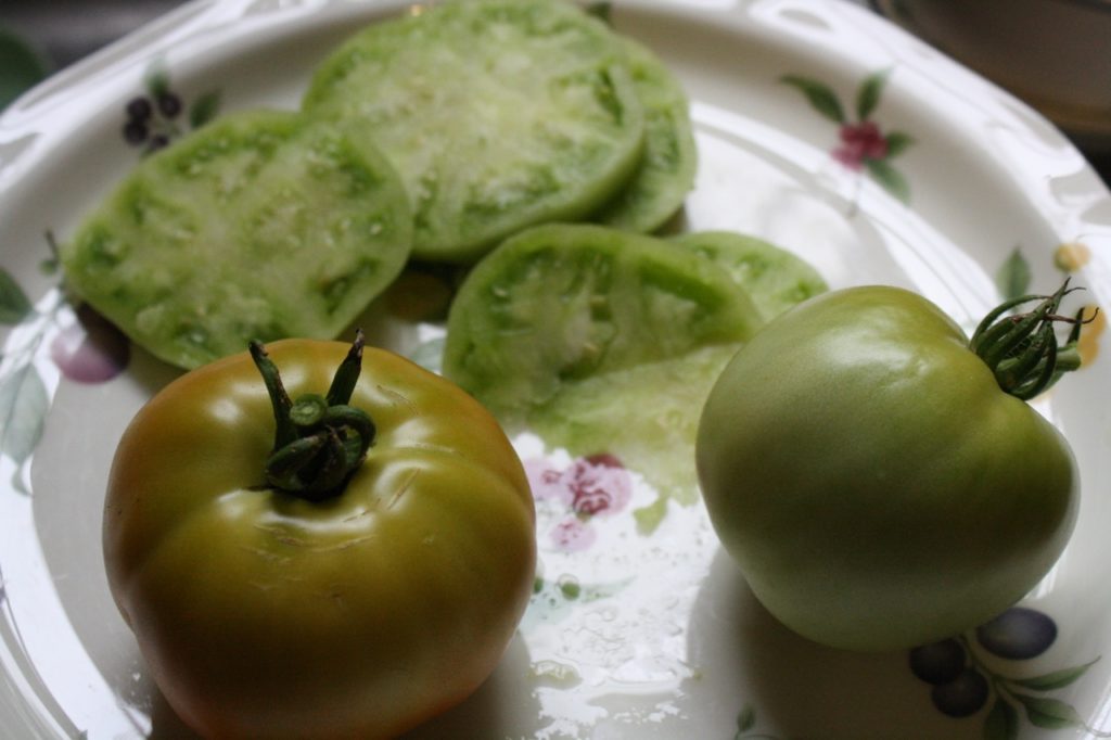 Fried Green Tomatoes | 5DollarDinners.com