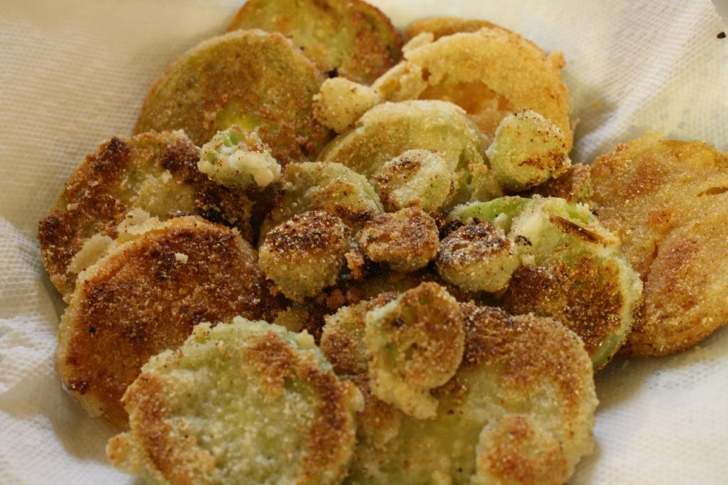 Fried Green Tomatoes | 5DollarDinners.com