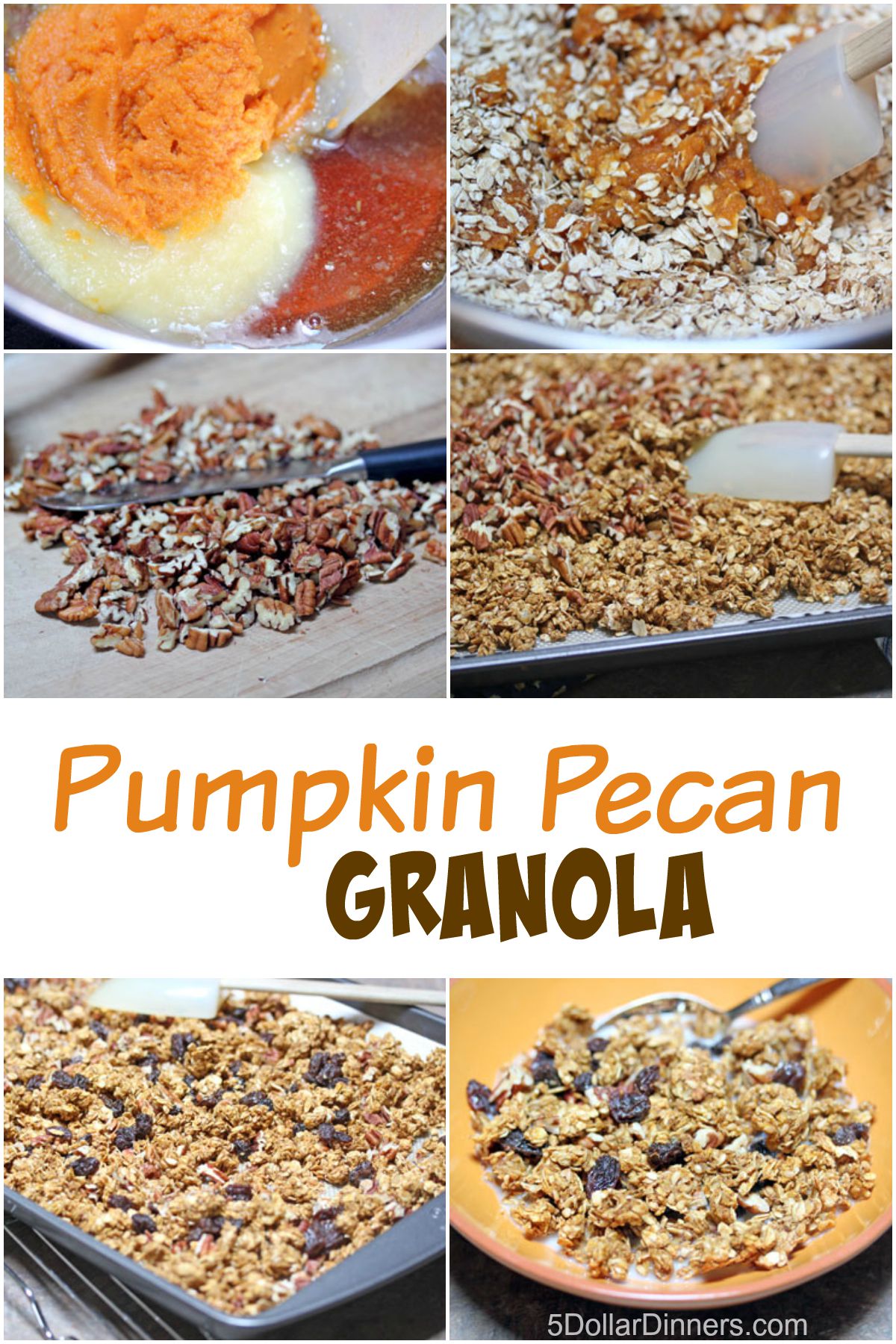 Pumpkin Pecan Granola from 5DollarDinners.com