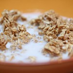 homemade sugar free granola