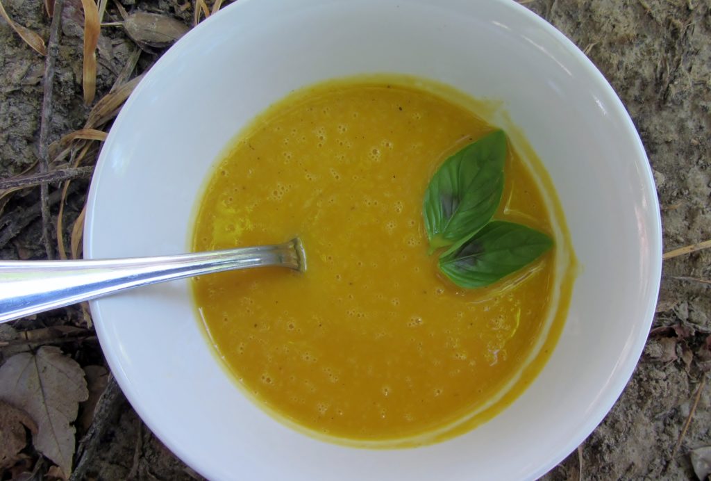 Savory Butternut Soup