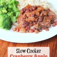 Slow Cooker Cranberry Apple Pork Roast | 5DollarDinners