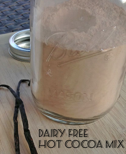 Dairy Free Hot Cocoa Mix