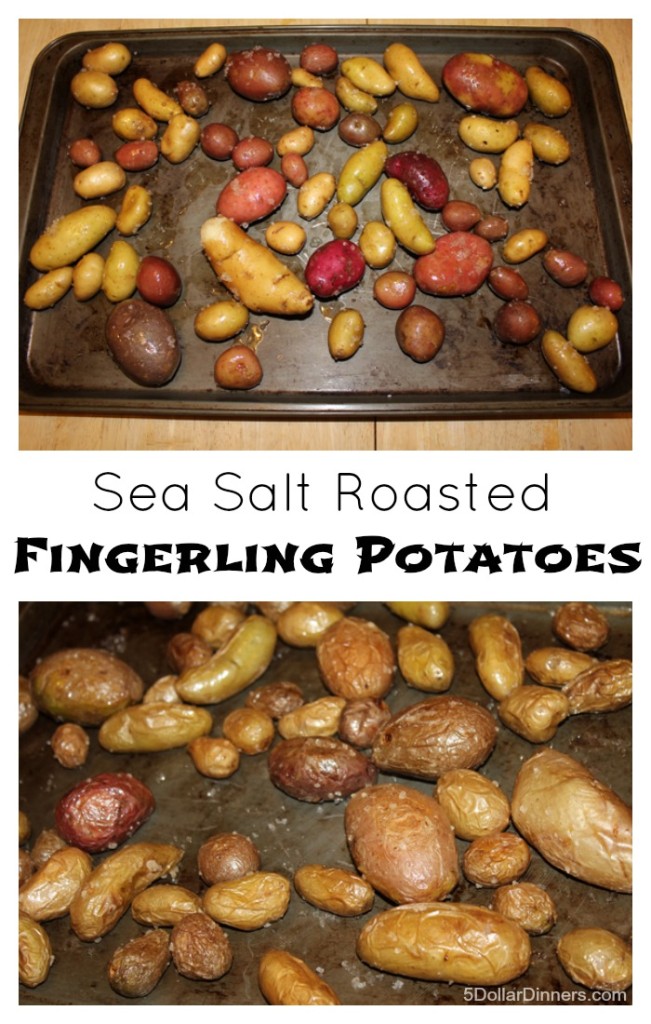 Sea Salt Roasted Fingerling Potatoes | 5DollarDinners.com
