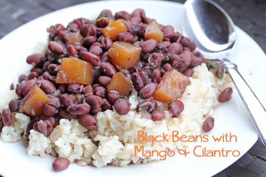 Black Bean Cilantro Mango