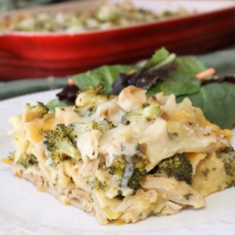 Chicken and Broccoli Alfredo Lasagna - $5 Dinners