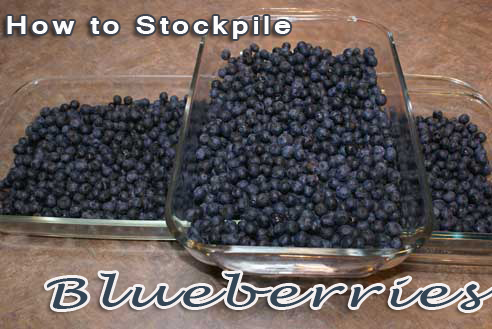 How to Stockpile and Freeze Blueberries on $5 Dinners