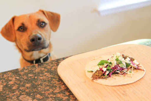 Salsa Verde Shredded Beef Cody