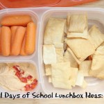 31 Days of School Lunchbox Ideas - Day 4 | 5DollarDinners.com