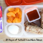 31 Days of School Lunchbox Ideas: Day 15 | 5DollarDinners.com