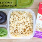 31 Days of School Lunchbox Ideas: Day 16 | 5DollarDinners.com