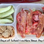 31 Days of School Lunchbox Ideas: Day 19 | 5DollarDinners.com