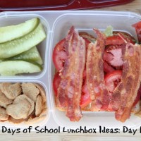 31 Days of School Lunchbox Ideas: Day 19 | 5DollarDinners.com