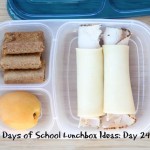31 Days of School Lunchbox Ideas - Day 24 | 5DollarDinners.com