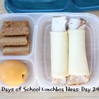 31 Days of School Lunchbox Ideas - Day 24 | 5DollarDinners.com