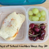 31 Days of School Lunchbox Ideas - Day 30 | 5DollarDinners.com