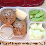 31 Days of School Lunchbox Ideas - Day 31 | 5DollarDinners.com