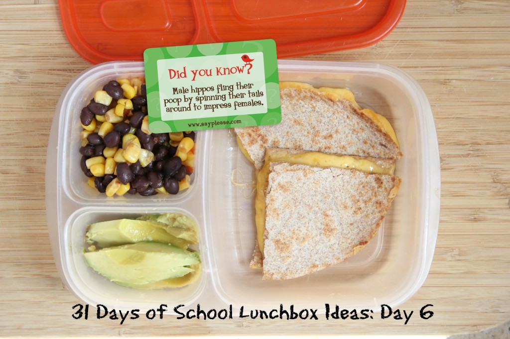 31 Days of School Lunchbox Ideas: Day 6 | 5DollarDinnerscom