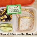 31 Days of School Lunchbox Ideas: Day 6 | 5DollarDinnerscom