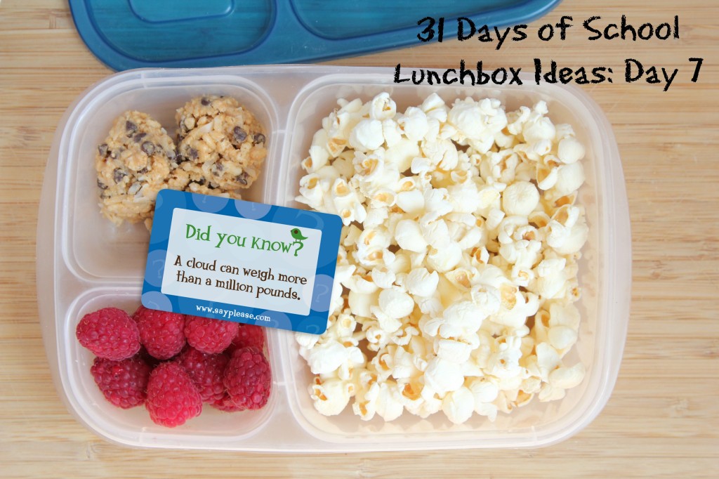 31 Days of School Lunchbox Ideas: Day 7 | 5DollarDinners.com