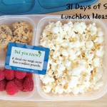 31 Days of School Lunchbox Ideas: Day 7 | 5DollarDinners.com