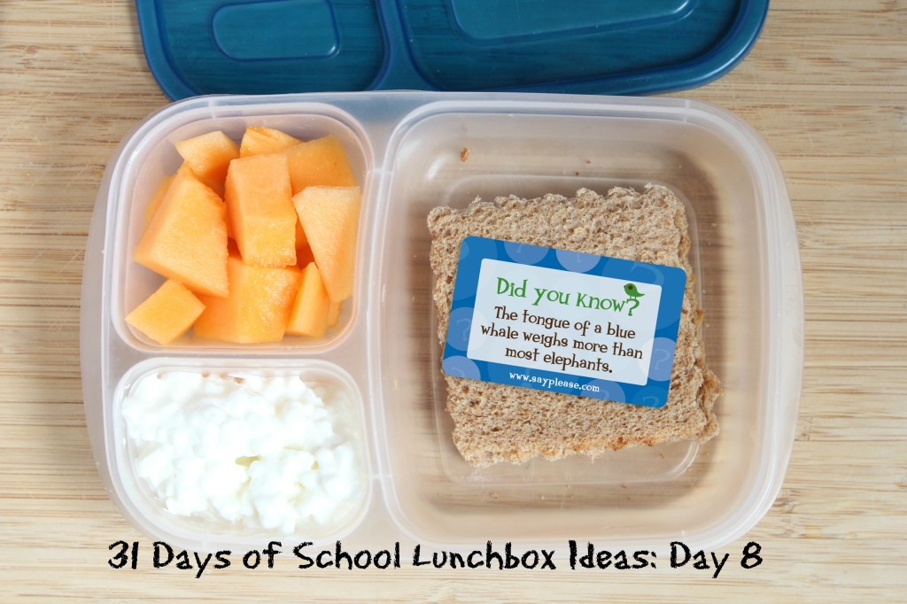 31 Days of School Lunchbox Ideas: Day 6 | 5DollarDinners.com