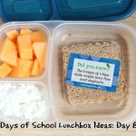 31 Days of School Lunchbox Ideas: Day 6 | 5DollarDinners.com