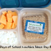 31 Days of School Lunchbox Ideas: Day 6 | 5DollarDinners.com