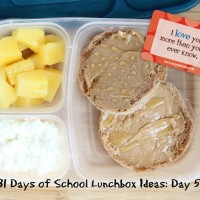 31 Days of School Lunchbox Ideas: Day 5 | 5DollarDinners.com